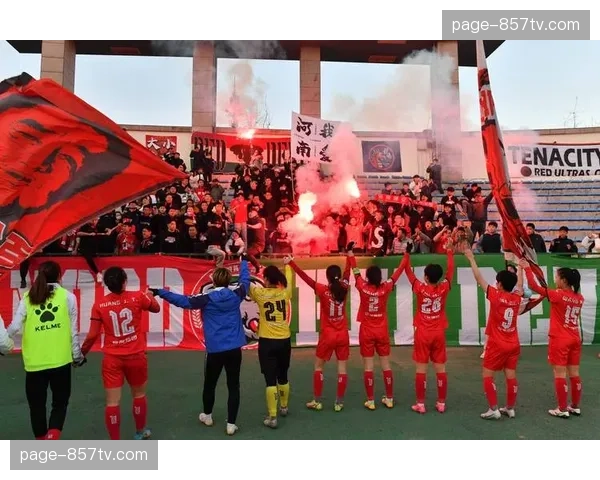 江苏队主场战绩惨淡 投资方撤资影响球队运营